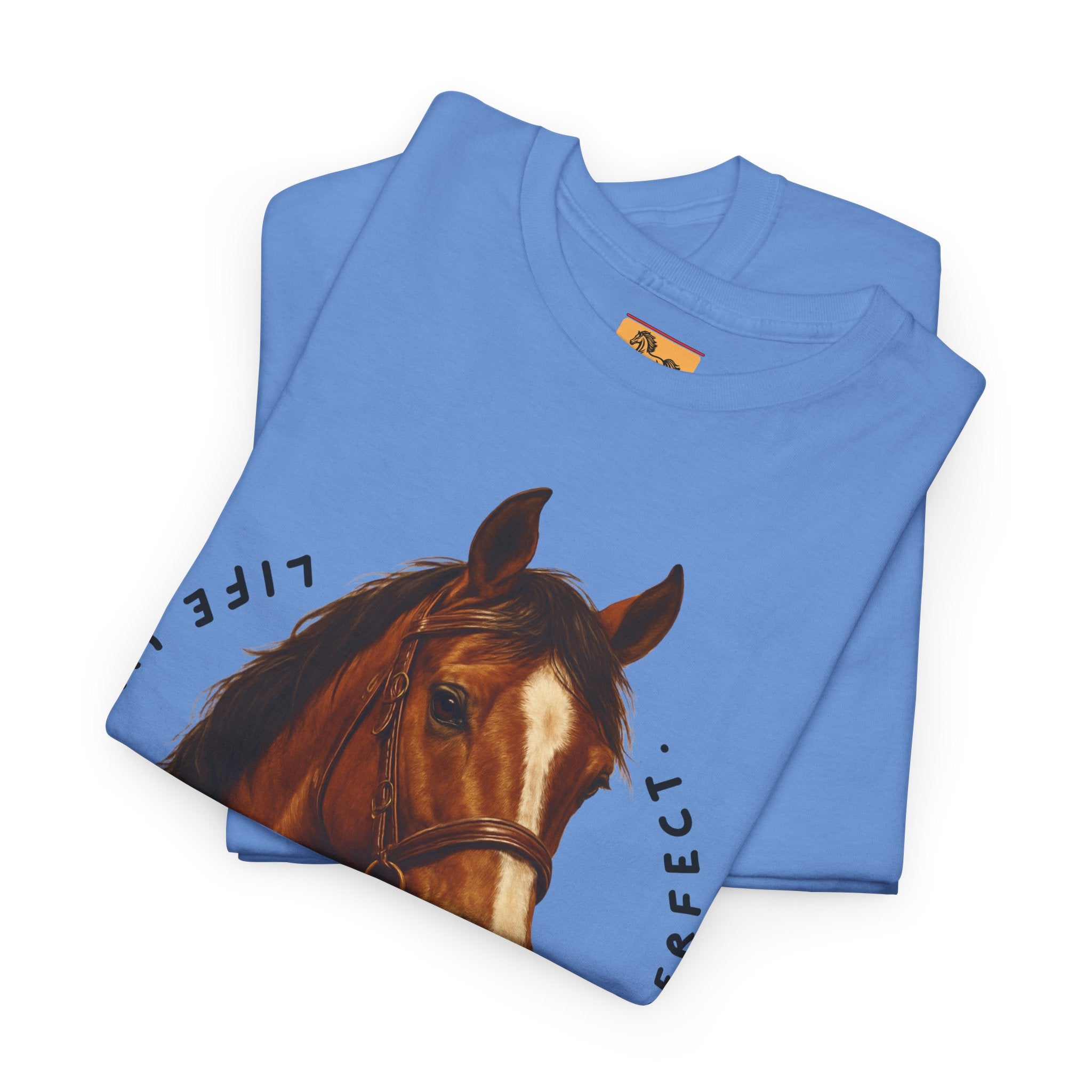 "Life with Horses Isn't Always Picture Perfect" Graphic Tee | Funny Equestrian T-Shirt