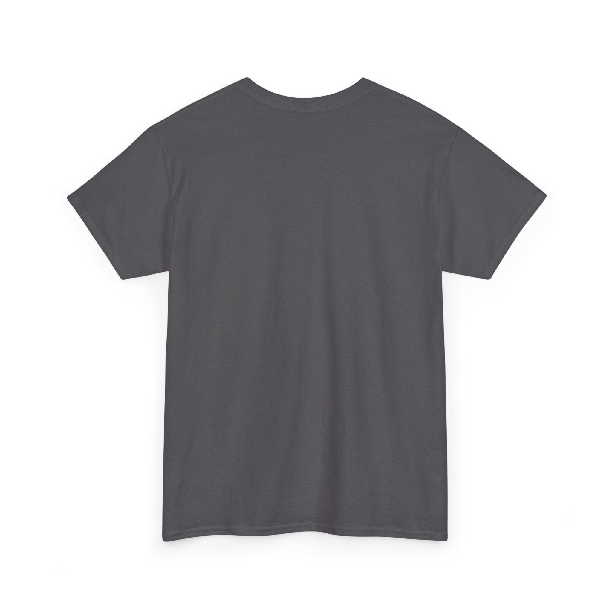 "Life with Horses Isn't Always Picture Perfect" Graphic Tee | Funny Equestrian T-Shirt