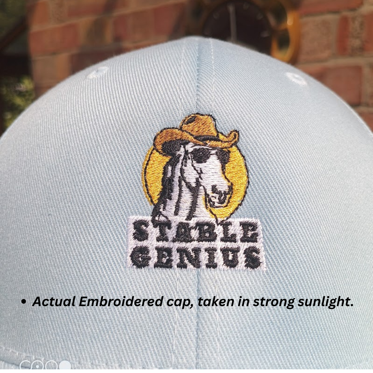 Stable Genius Horse Cap Embroidered Cowboy Horse Hat for Equestrians