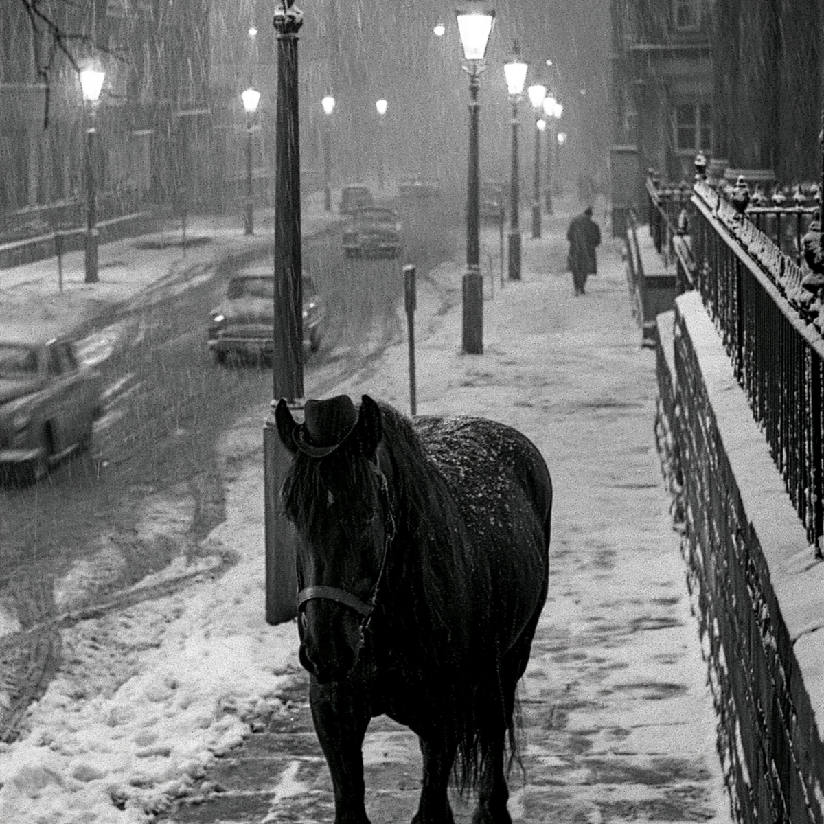 Film Noir Horse Wall Art Vintage NYC Snow Scene Brushed Aluminum Print