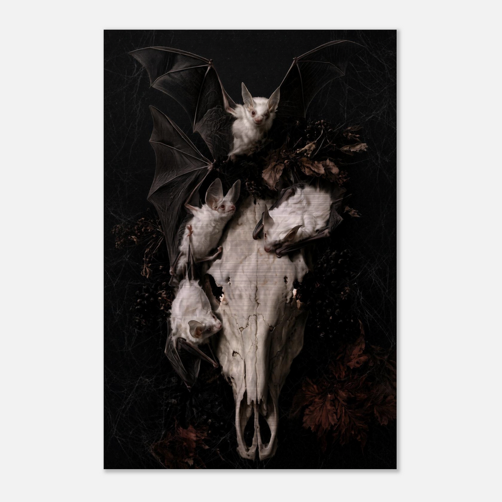 Gothic vanitas metal wall art print of three albino bats and a weathered horse skull with glowing eye sockets, surrounded by dried botanicals and cobwebs on a black background, Dutch Golden Age still life style, brushed aluminum print